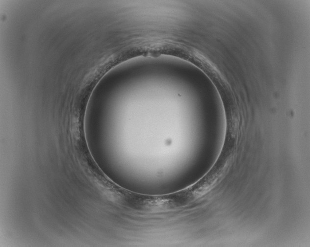 X0000076270497200609281209