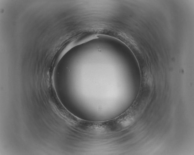 X0000076270498200609281209