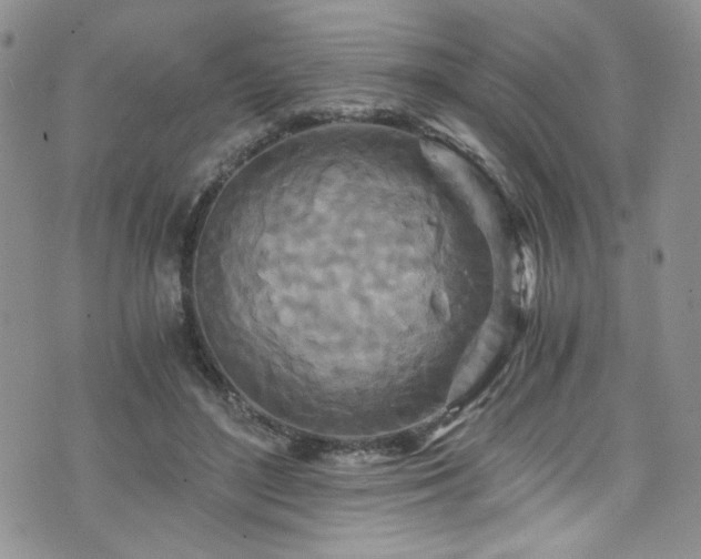 X0000076270500200609281209