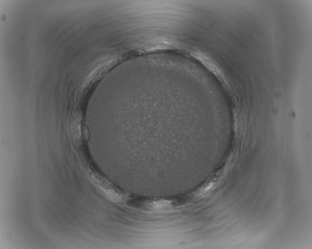 X0000076270501200609281209