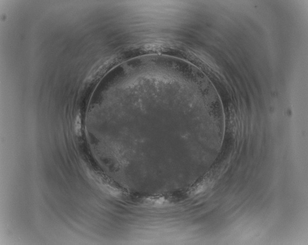 X0000076270502200609281209