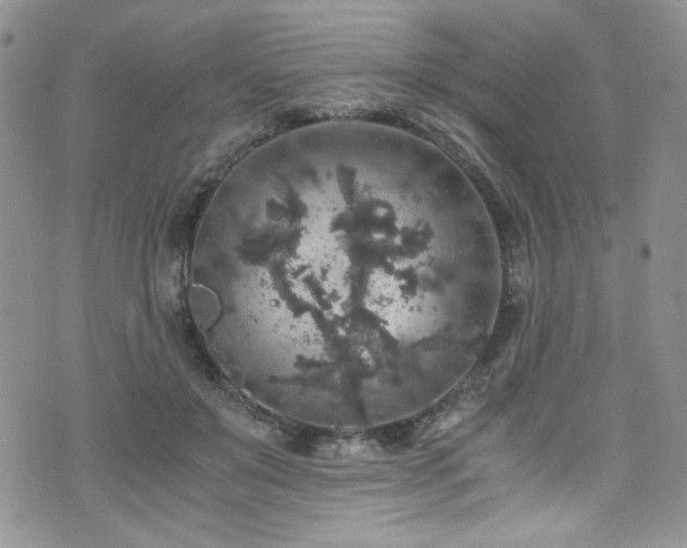 X0000076270503200609281209