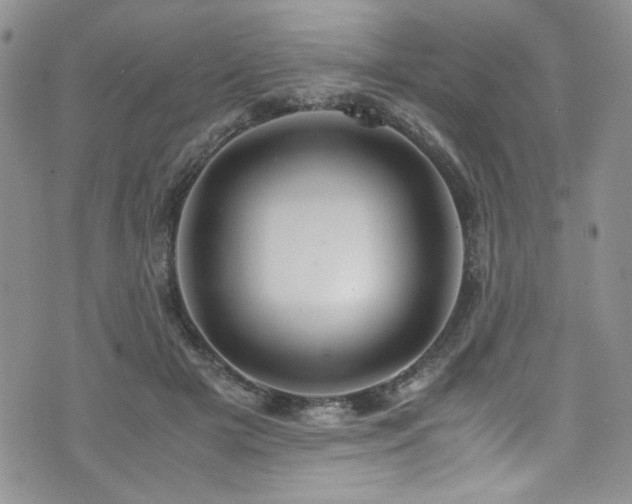 X0000076270505200609281209