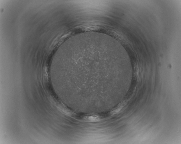 X0000076270506200609281209