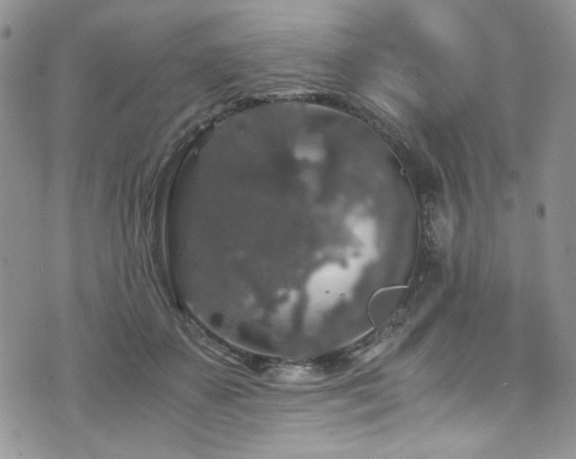 X0000076270507200609281209