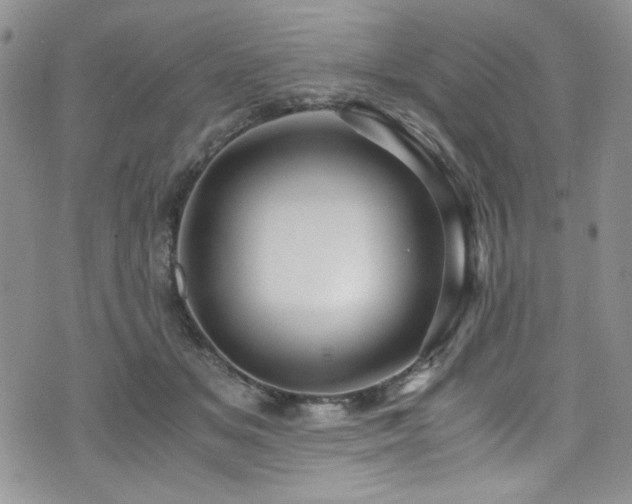 X0000076270509200609281209