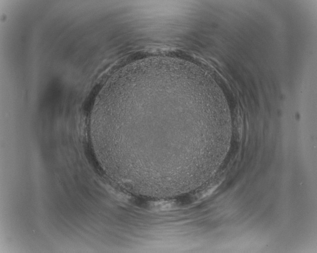 X0000076270511200609281209