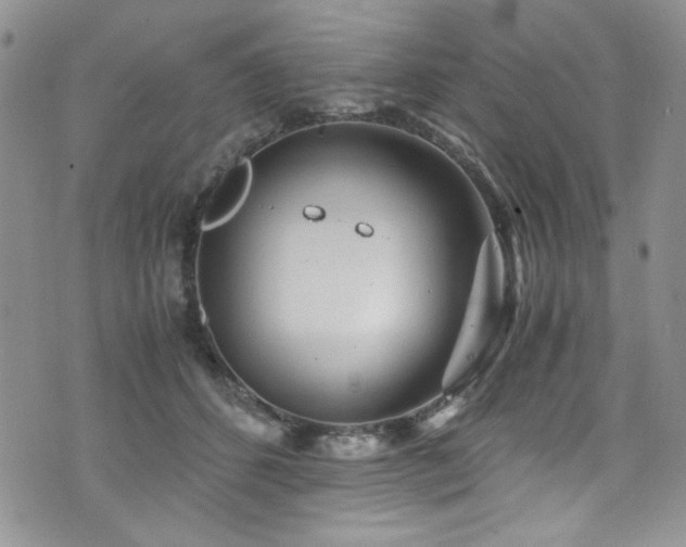 X0000076270512200609281209