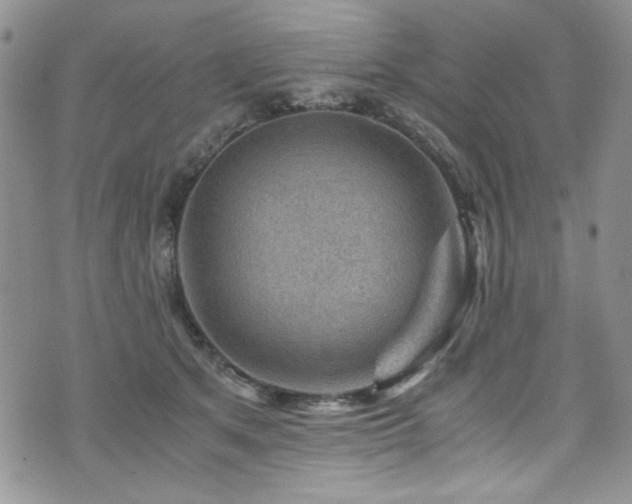 X0000076270513200609281209