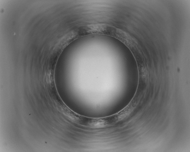 X0000076270514200609281209