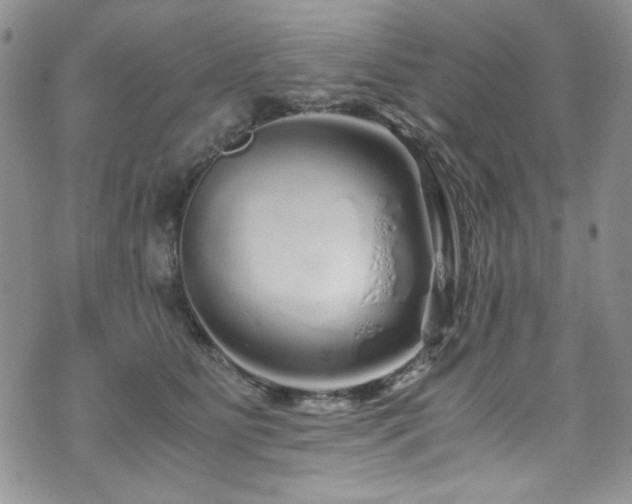 X0000076270515200609281209