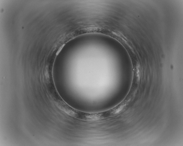 X0000076270516200609281209