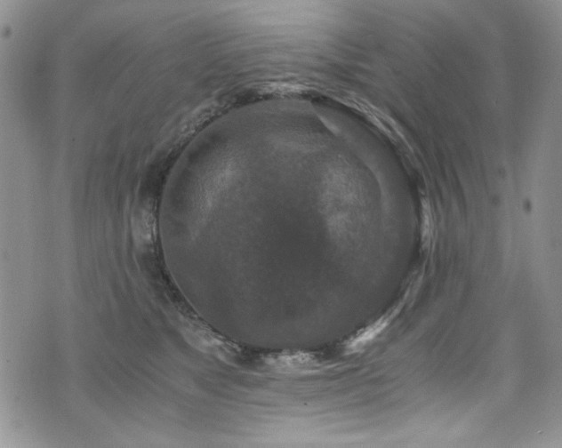 X0000076270517200609281209