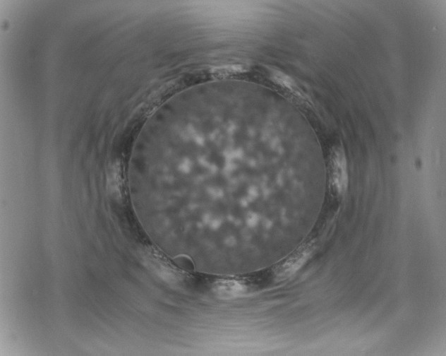 X0000076270519200609281209