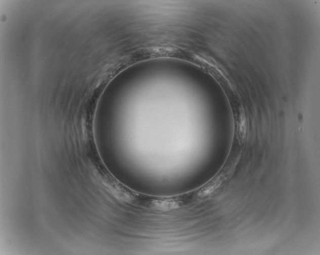 X0000076270520200609281209