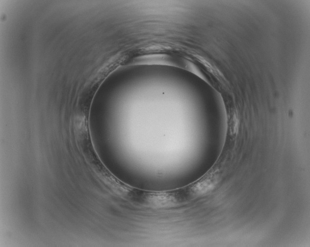 X0000076270521200609281209