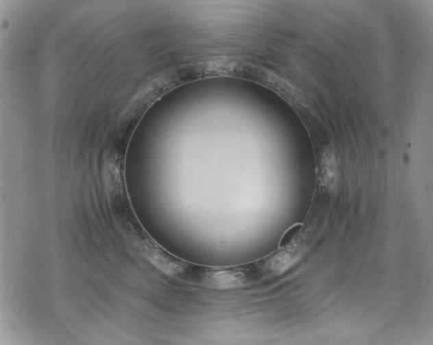 X0000076270522200609281209