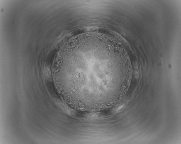 X0000076270523200609281208