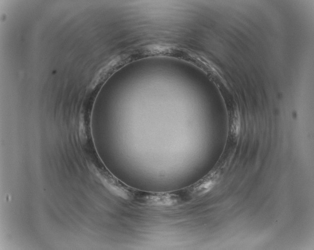 X0000076270524200609281208