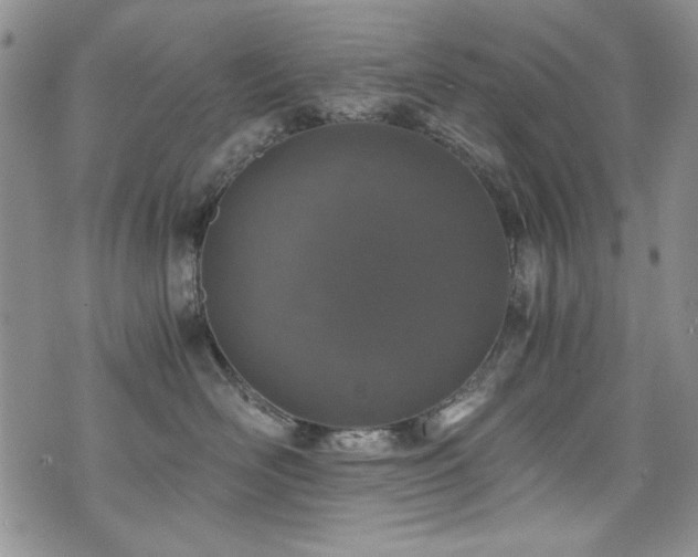 X0000076270526200609281208