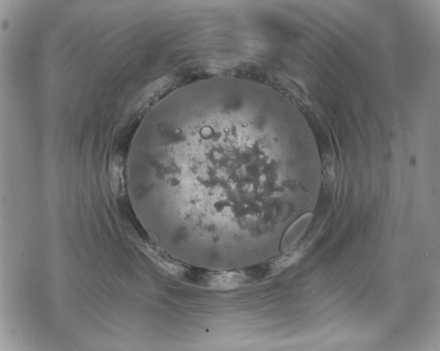 X0000076270527200609281208