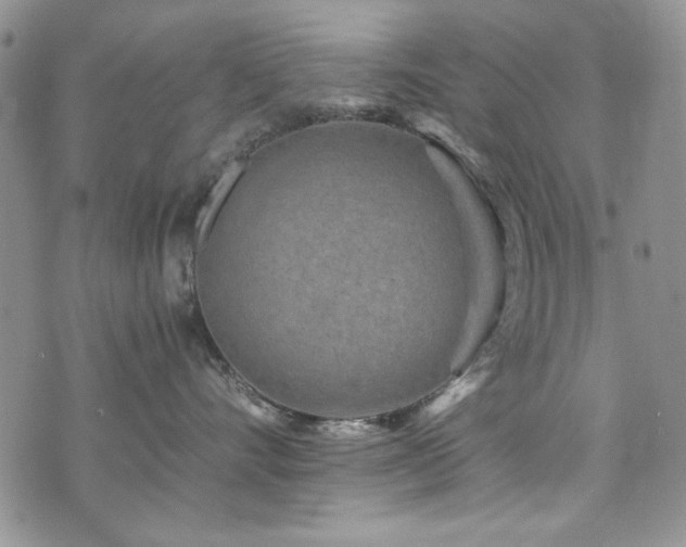 X0000076270528200609281208