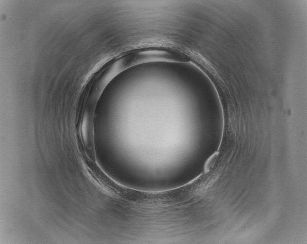 X0000076270530200609281208