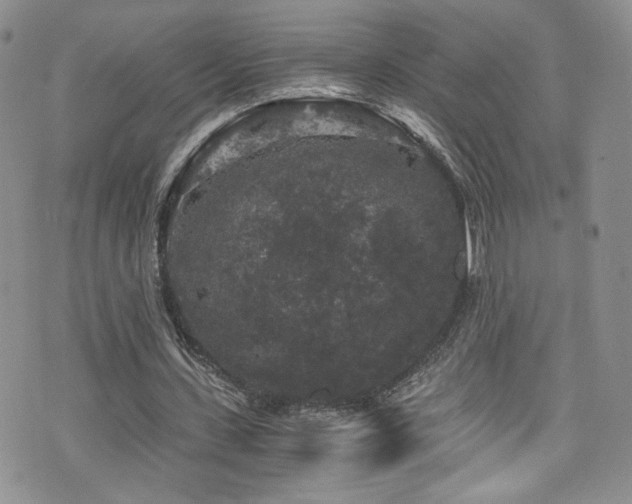 X0000076270531200609281208