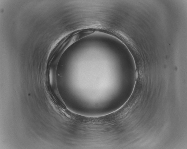 X0000076270532200609281208