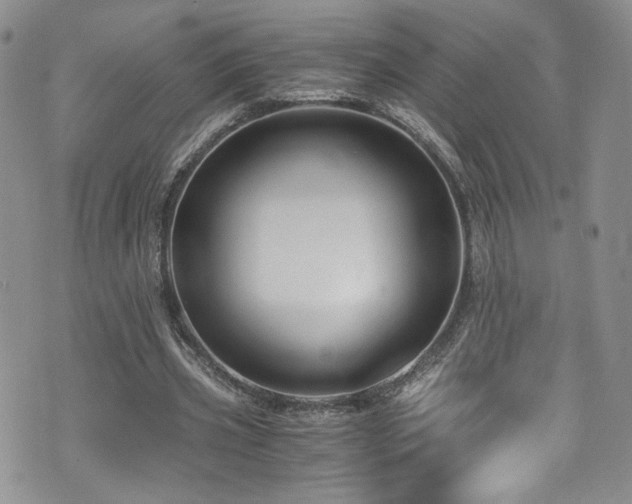 X0000076270533200609281208