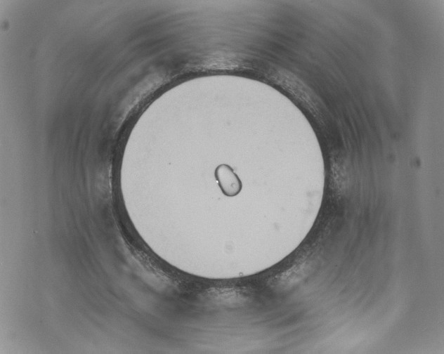 X0000076270534200609281208