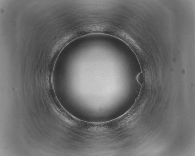 X0000076270537200609281208