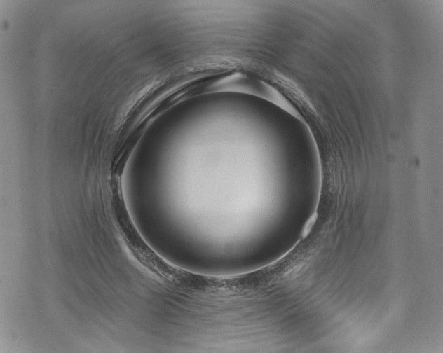 X0000076270538200609281208