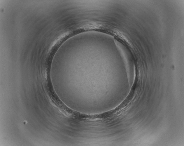 X0000076270539200609281208