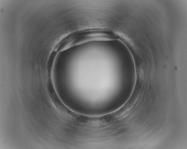 X0000076270540200609281208