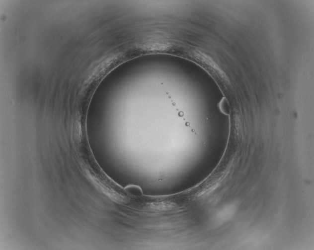 X0000076270541200609281208