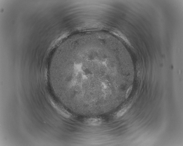 X0000076270542200609281208