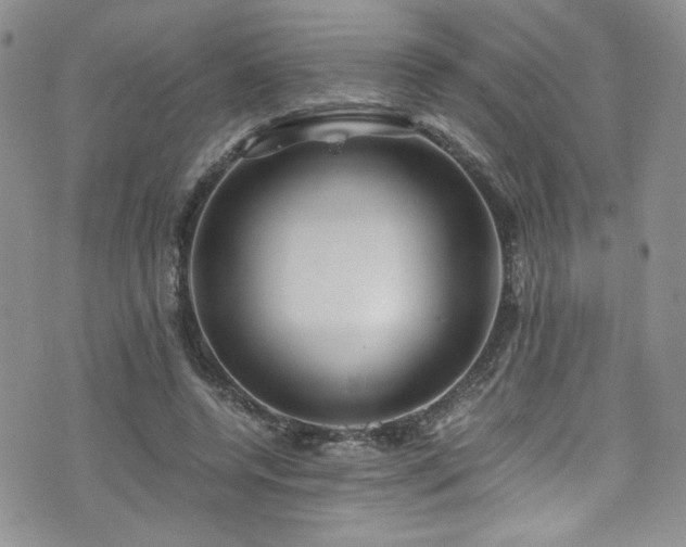 X0000076270544200609281208