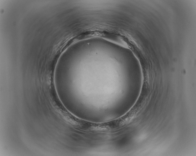 X0000076270545200609281208