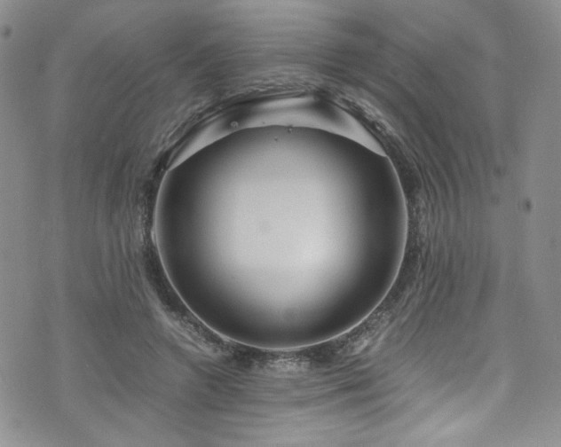 X0000076270546200609281208