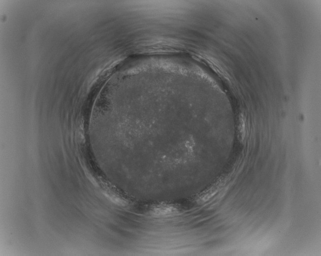 X0000076270547200609281208