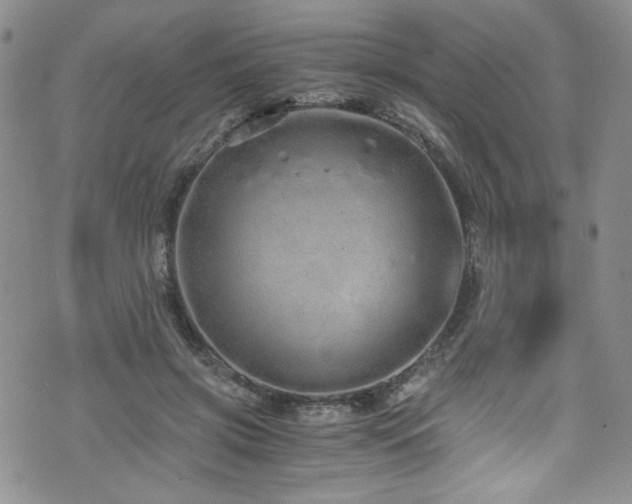 X0000076270549200609281208