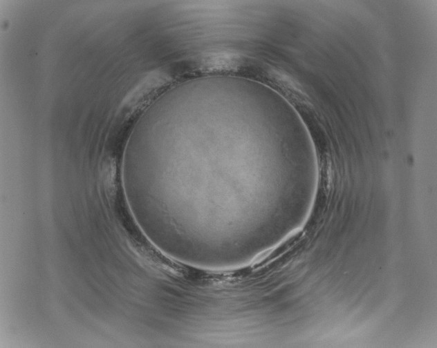 X0000076270550200609281208