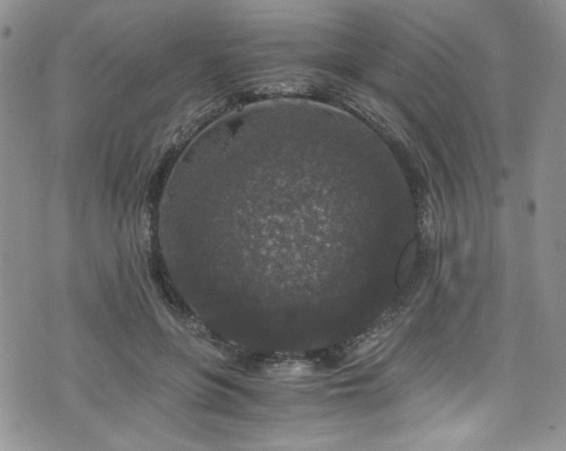 X0000076270551200609281208