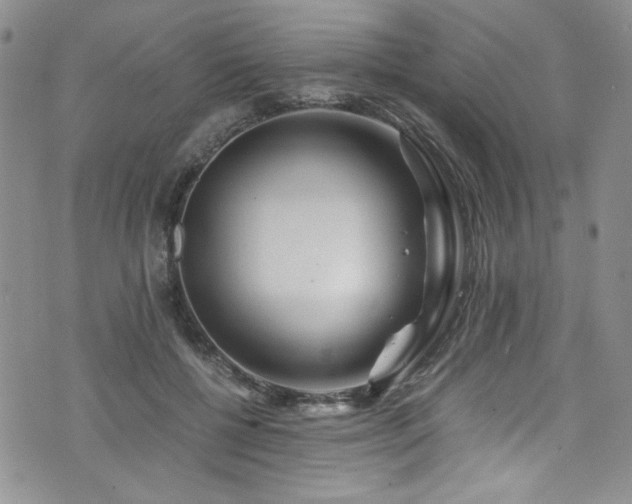 X0000076270552200609281208