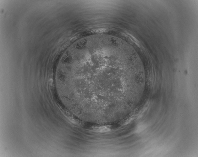 X0000076270553200609281208