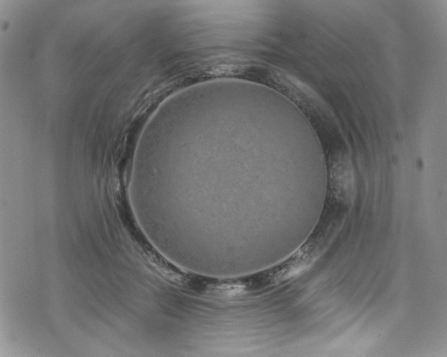 X0000076270554200609281208