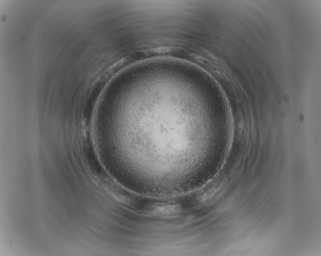 X0000076270555200609281208