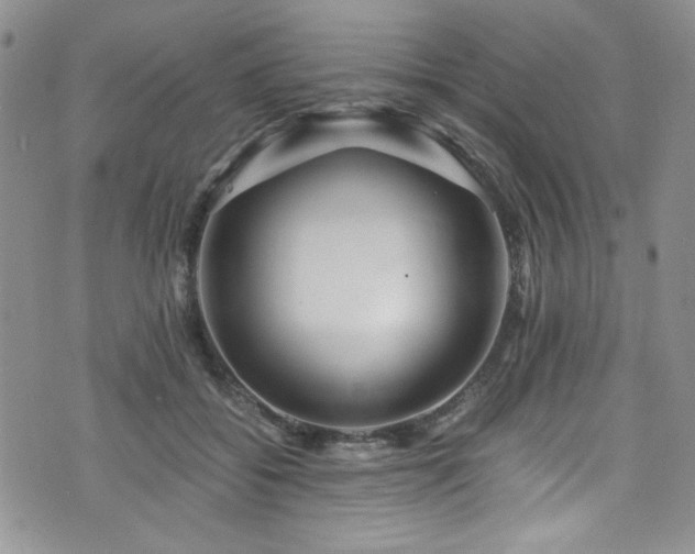 X0000076270556200609281208