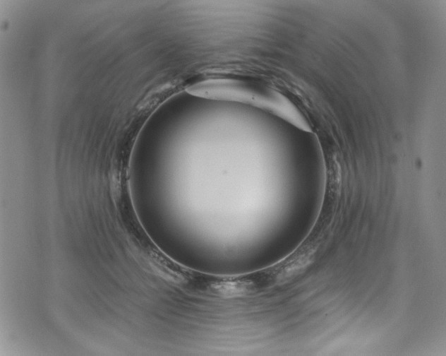 X0000076270558200609281208